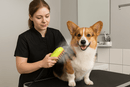Brosse à vapeur chien/chat - A la niche