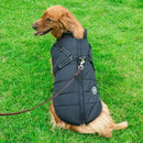 Manteau harnais - A la niche