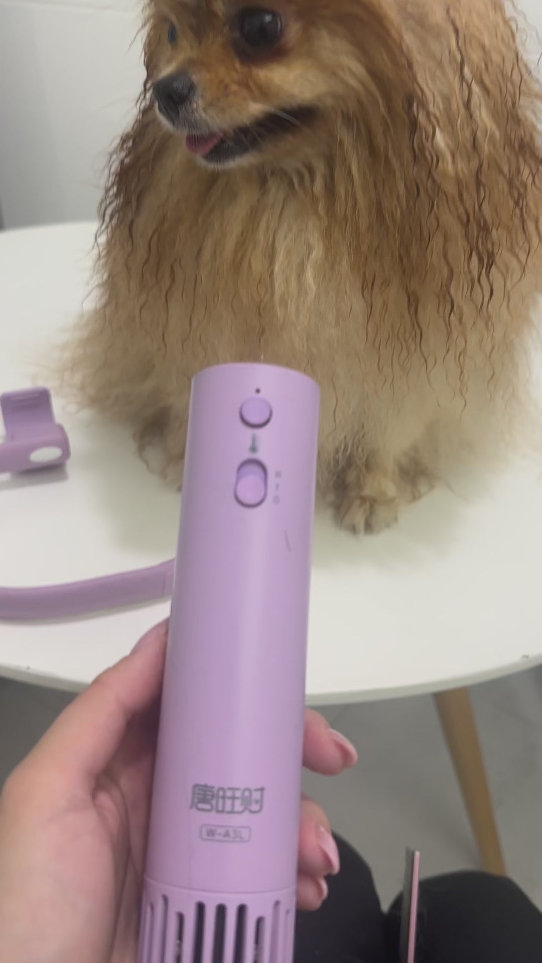 Fluffair  - Séche Poils Chien Anti Stress
